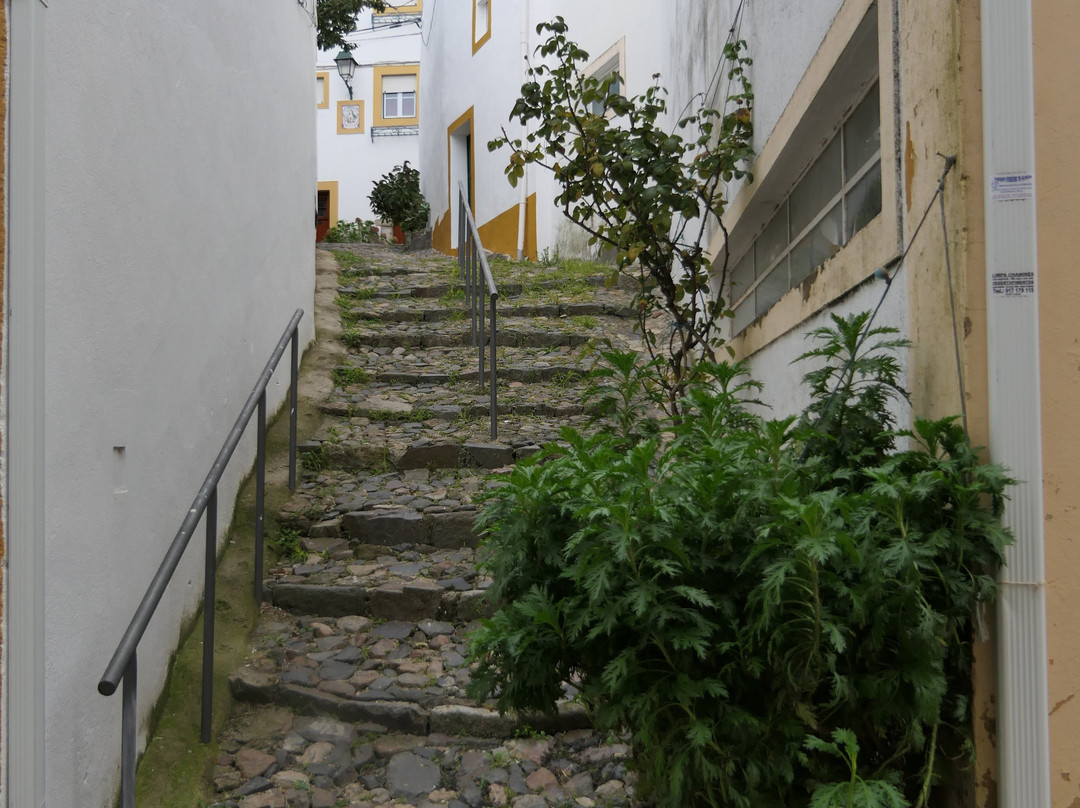 Sinagoga de Castelo de Vide景点图片