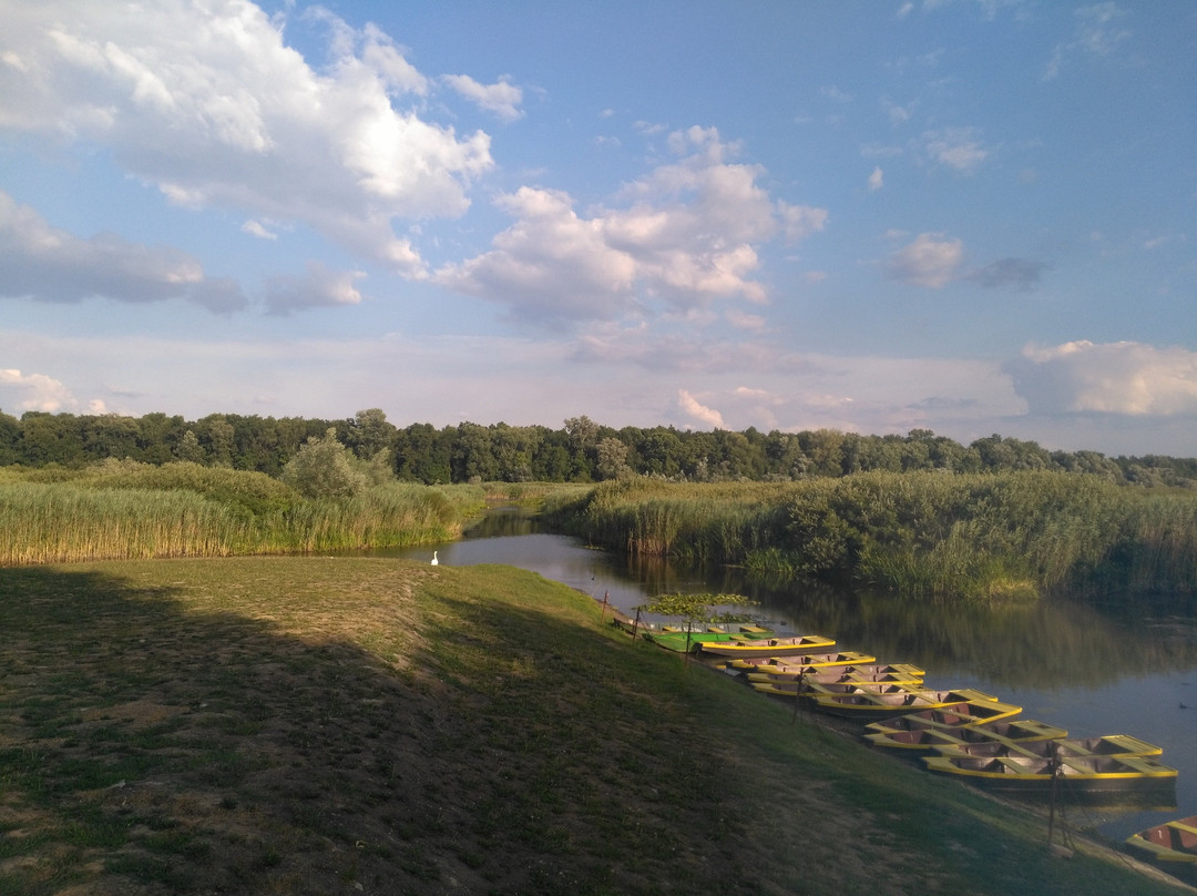 Special Nature Reserve Obedska Bara景点图片