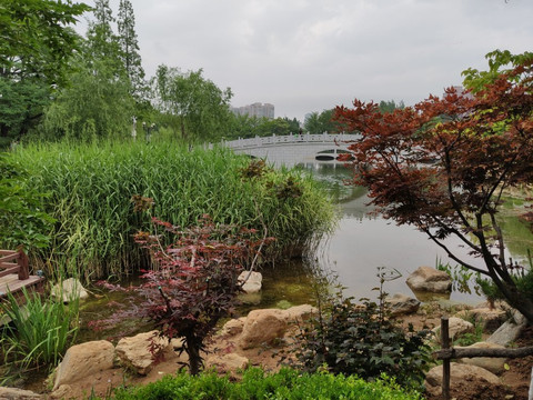 大连植物园-大连市必去景点