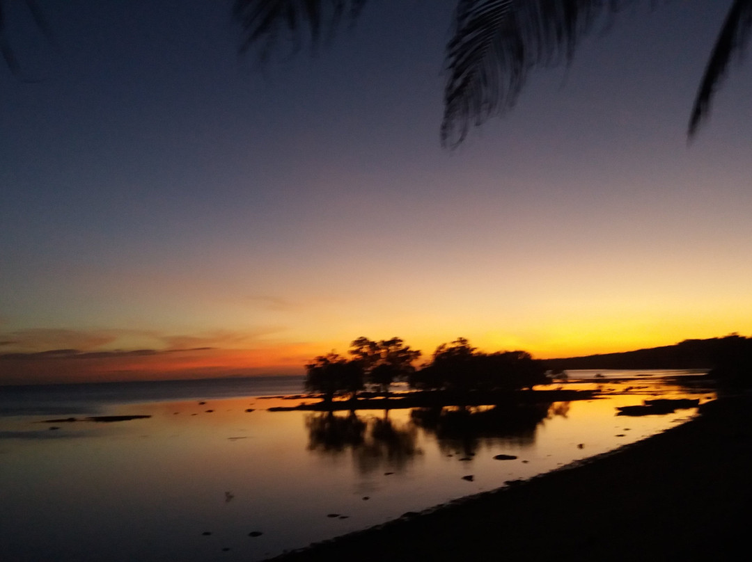 Southern Leyte Divers主图