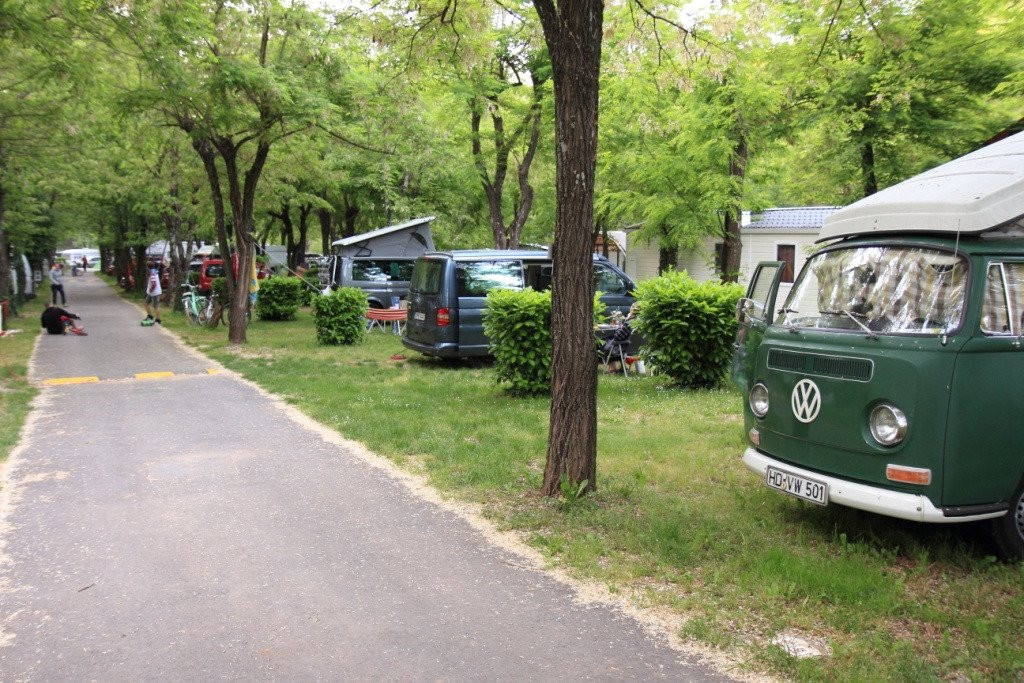 Camping les Actinidias