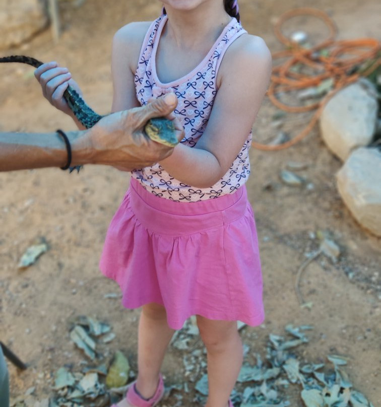 Crocoloco Crocodile Farm-Ir Ovot必去景点