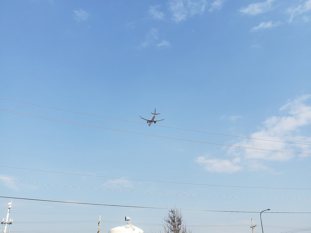 Glendale Heights餐馆和美食-Barnelli's Pasta Bowl