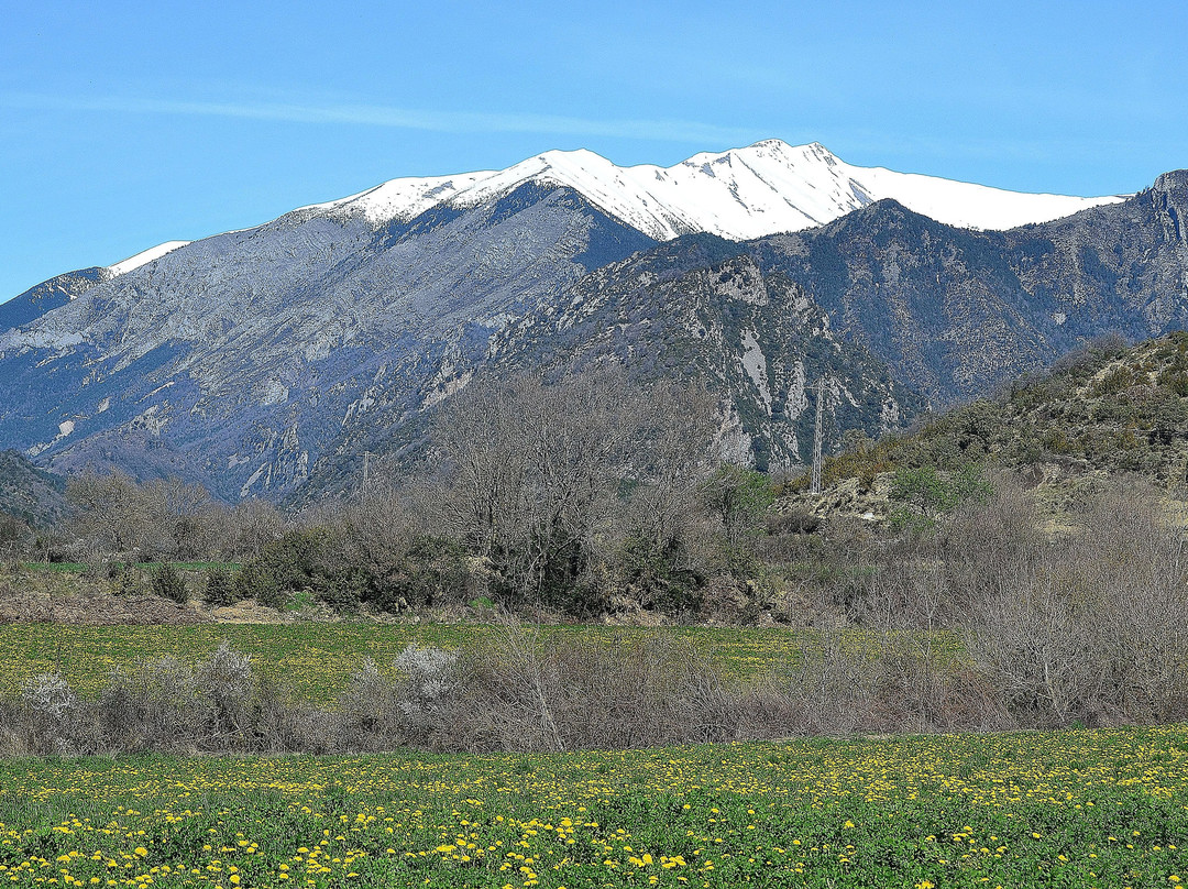 Castell de Sin景点图片