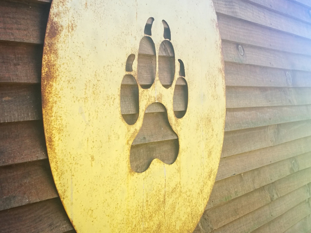 Cape Town Ostrich Ranch-开普敦中心区必去景点