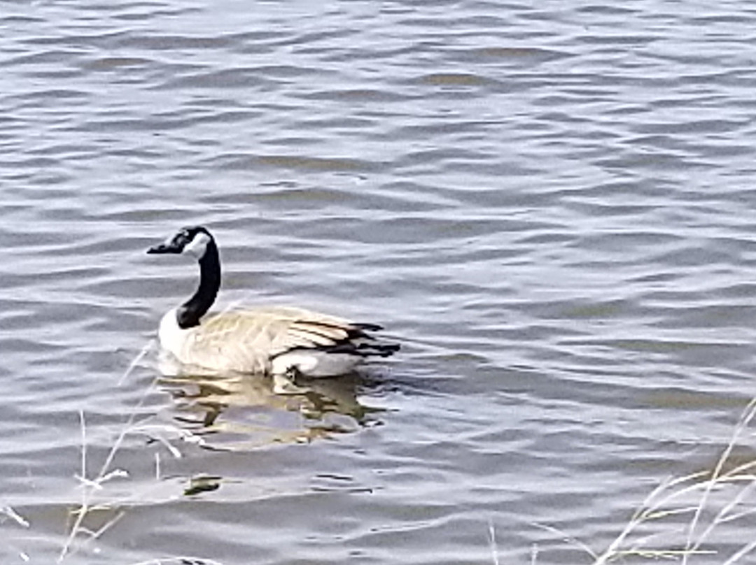 Eagle Scout Park-格兰德岛必去景点