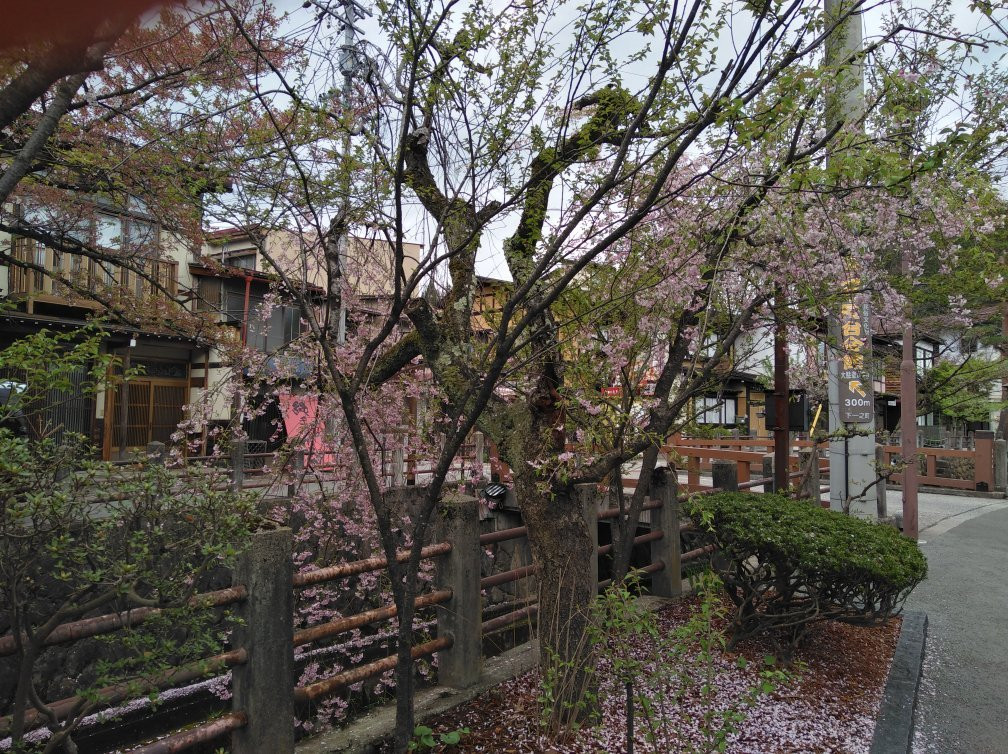 Takayama Betsuin Shorenji Temple景点图片