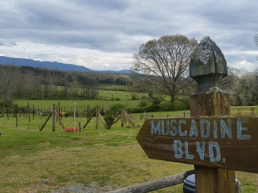 Blue Goose Farm and Vineyards景点图片