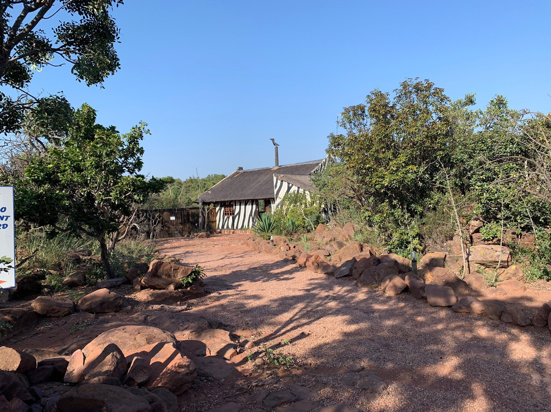 Thaba Pitsi Safari Lodge主图