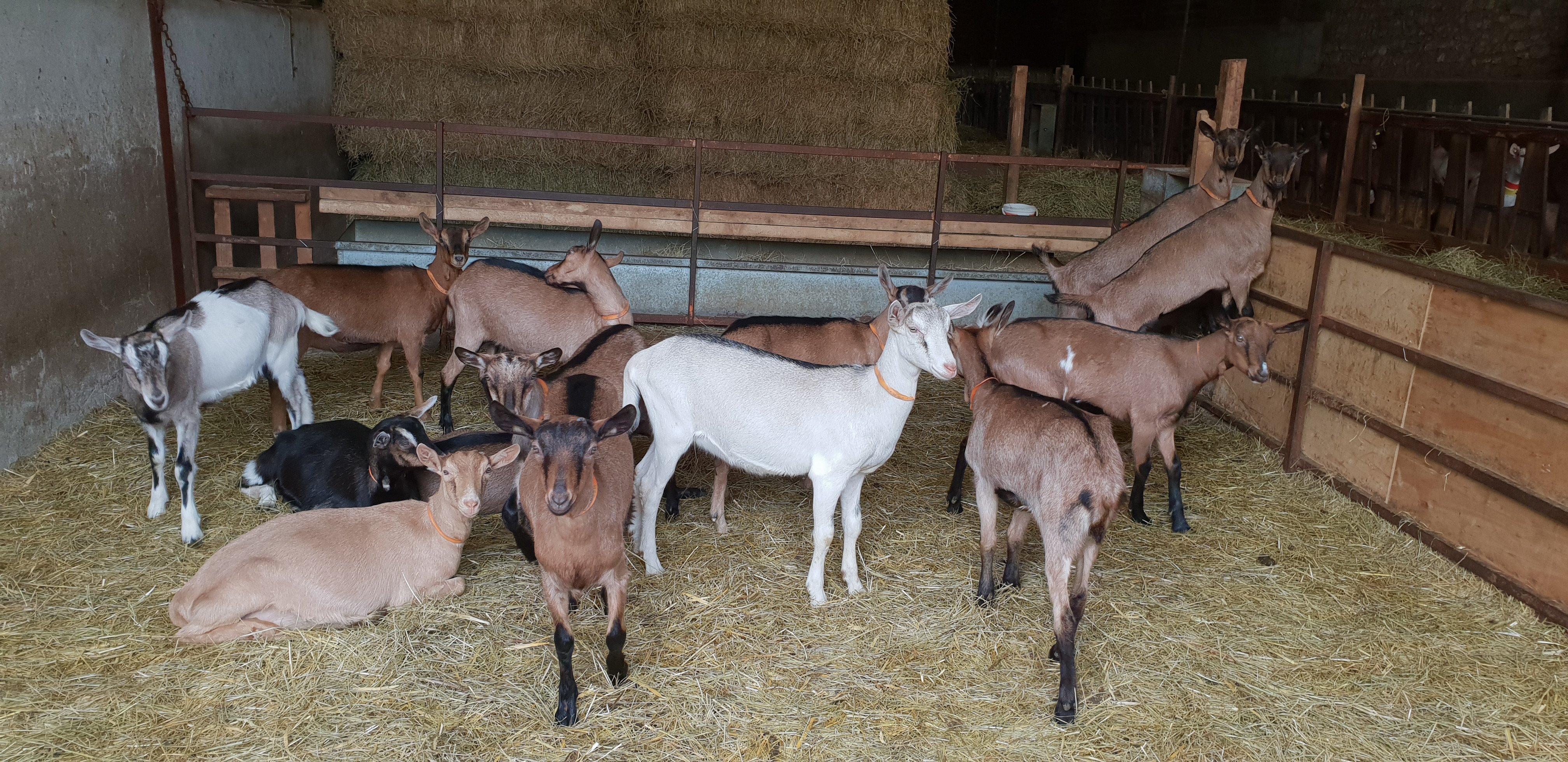 La Ferme de Bellegarde-官方