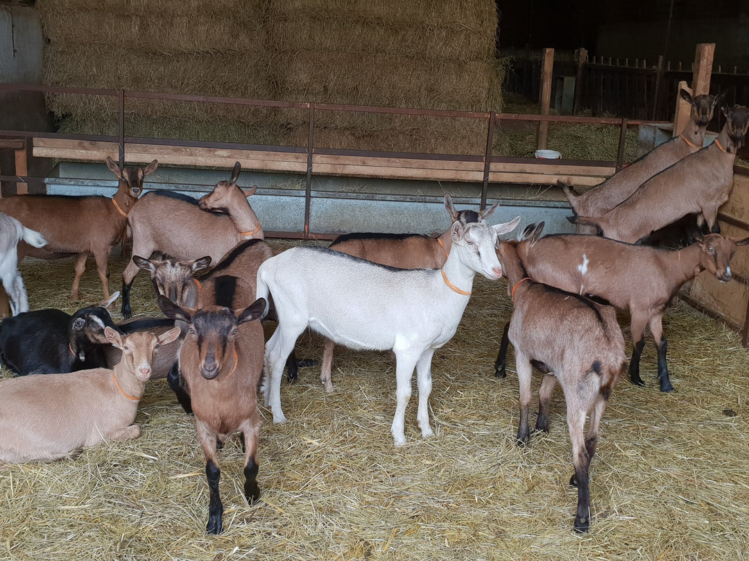 La Ferme de Bellegarde主图