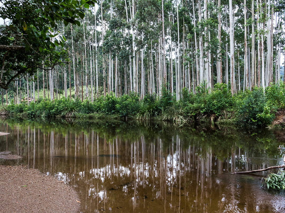 Cachoeira do Sony景点图片