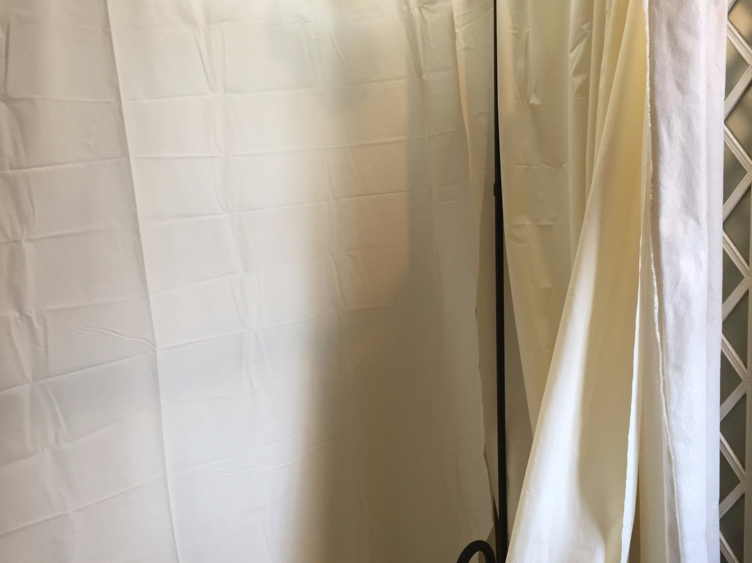 The Haven on Vine Bed & Breakfast and Retreat Center主图