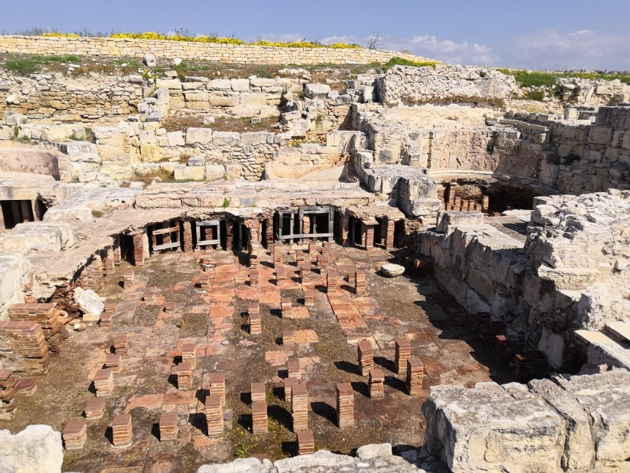 Local Archaeological Kourion Museum景点图片