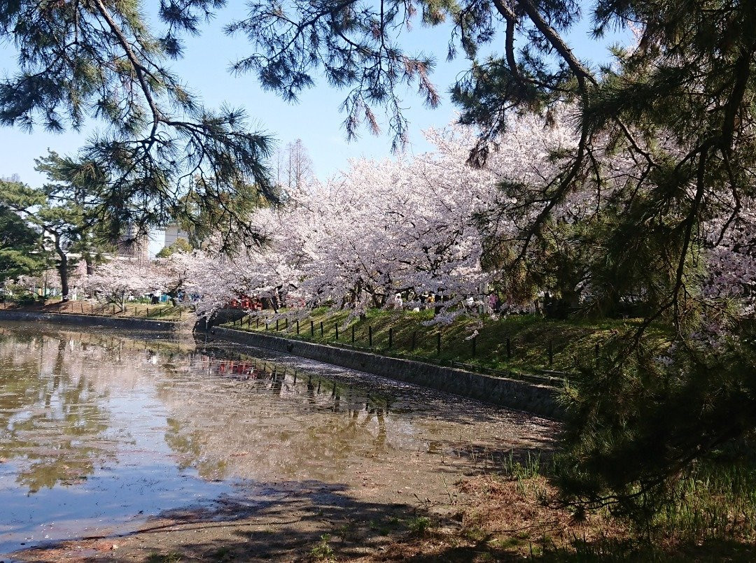 Kijo Park-刈谷市必去景点