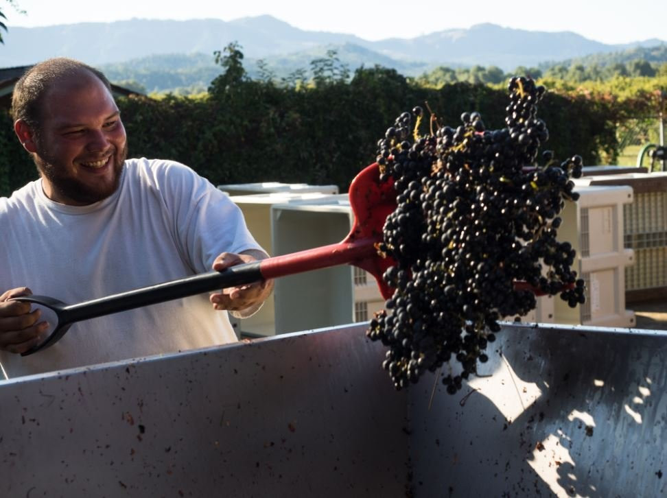 Foon Estate Vineyard景点图片