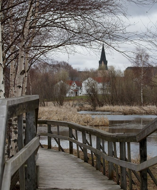 Sackville Waterfowl Park景点图片