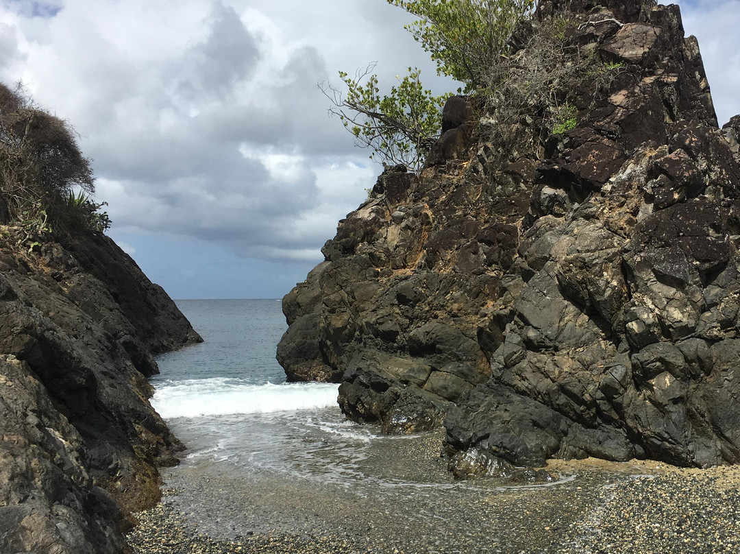 Birdman Tobago Tours-Roxborough必去景点