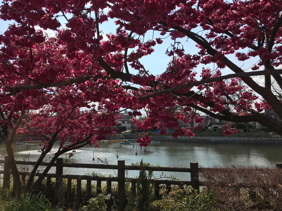 Himonya Park-目黒区必去景点