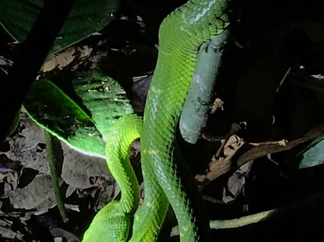 Monteverde Wildlife Refuge景点图片