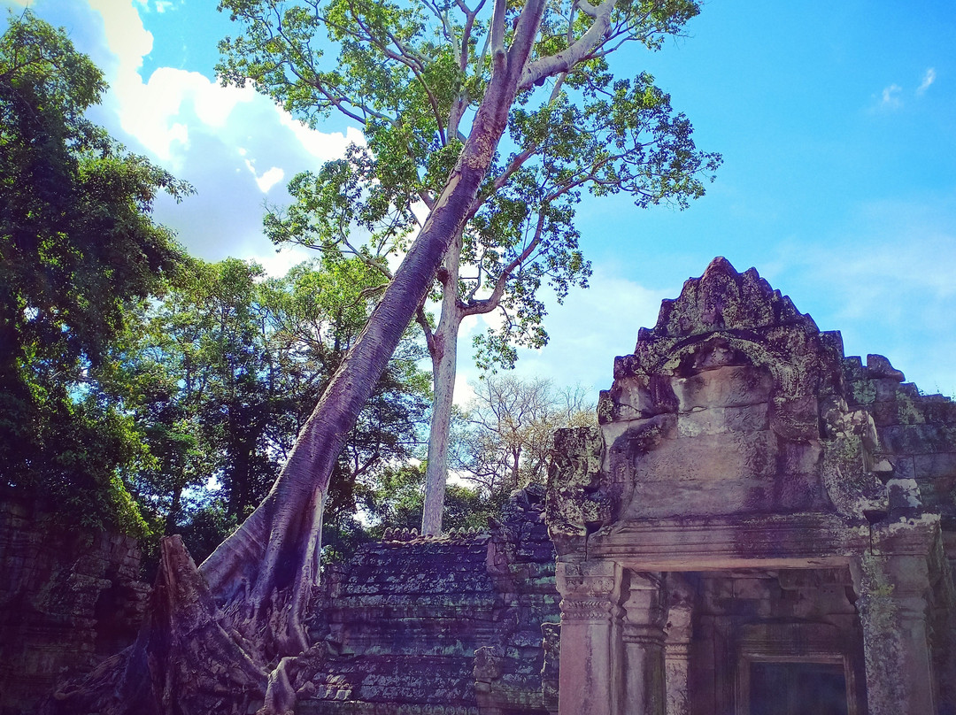 Angkor Driver Taxi & Guide - Van Vireak