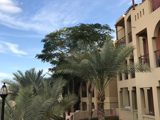 海洋广场塔拉湾酒店主图