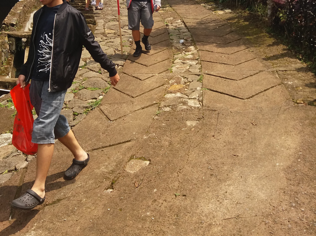 Panorama Pangrango Camp-茂物必去景点