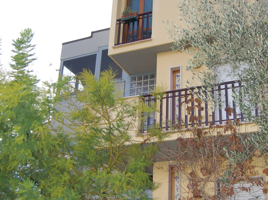La casa delle magnolie主图