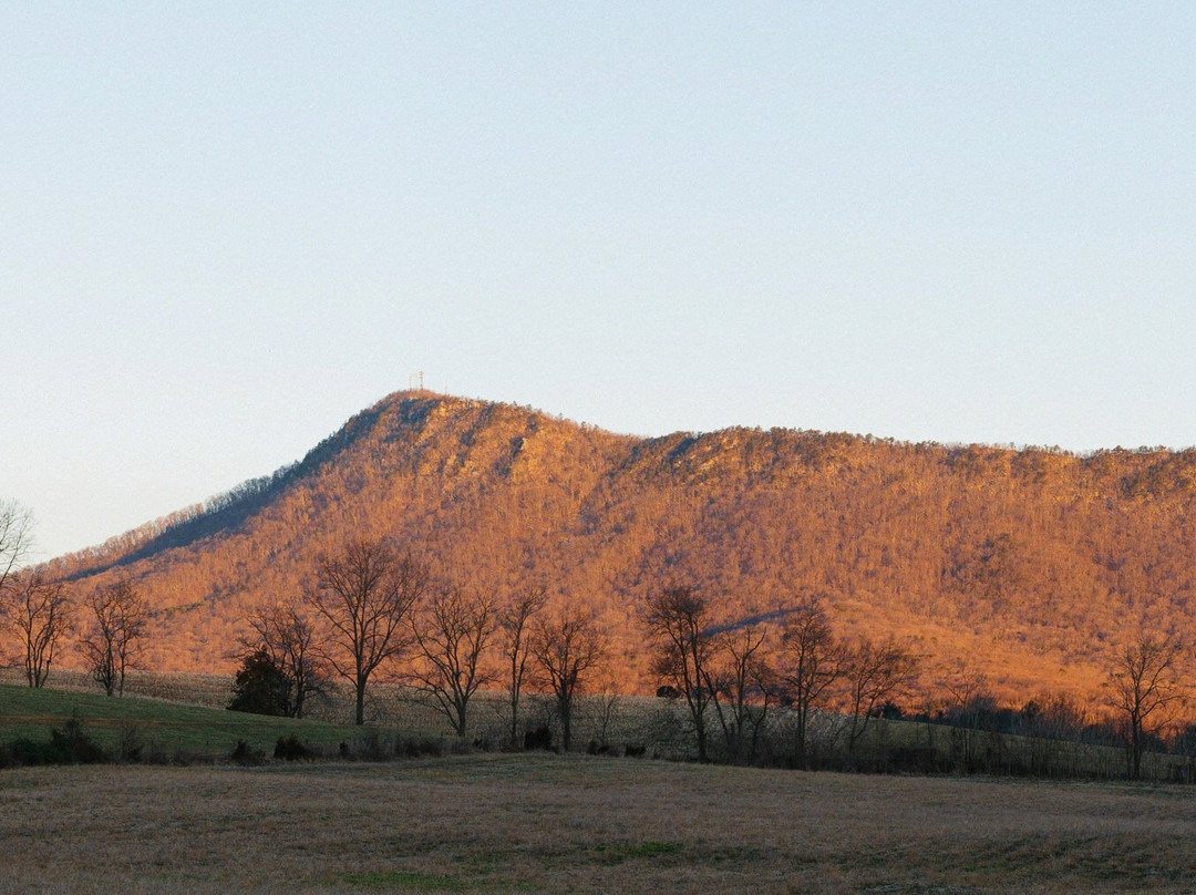 Cave Hill Farm Bed and Breakfast主图