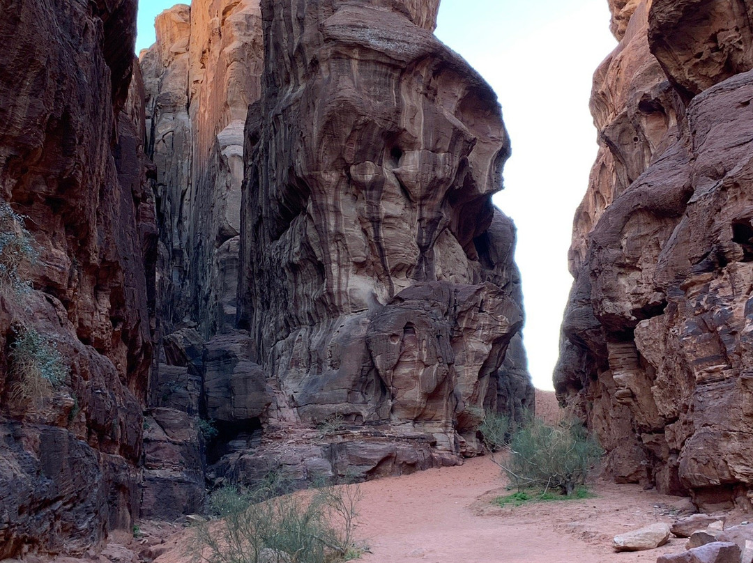 Jeep tours in Wadi Rum景点图片