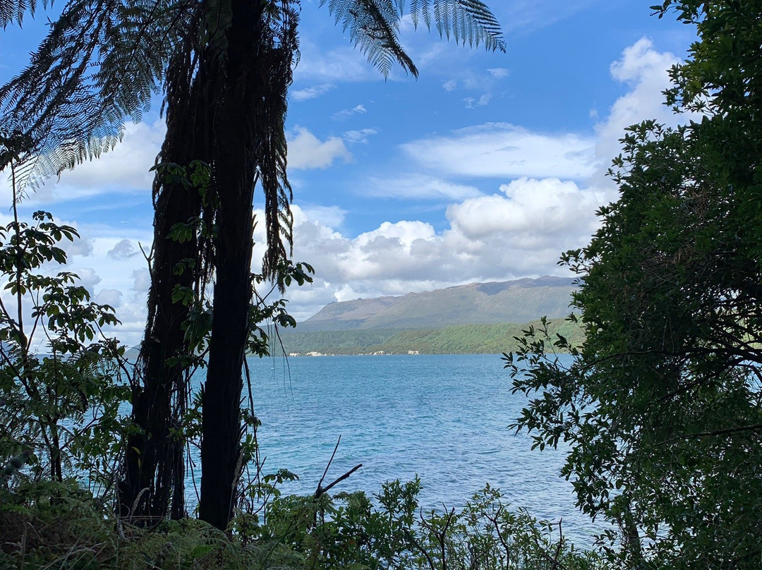 Tarawera Trail景点图片