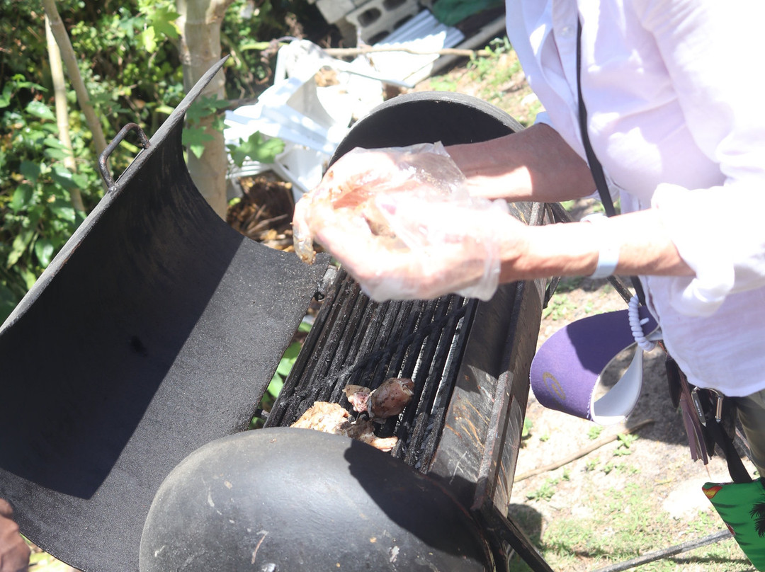 Taste of Jamaica Authentic Tour-奥乔里奥斯必去景点