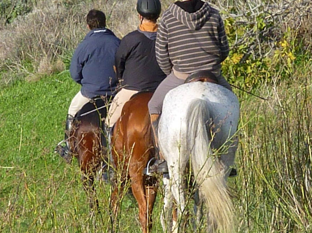 Equestrian Club of Cyclades-锡罗斯必去景点