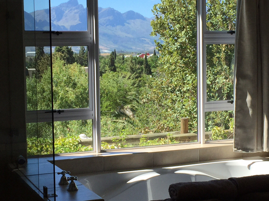 African Tulip Guesthouse主图