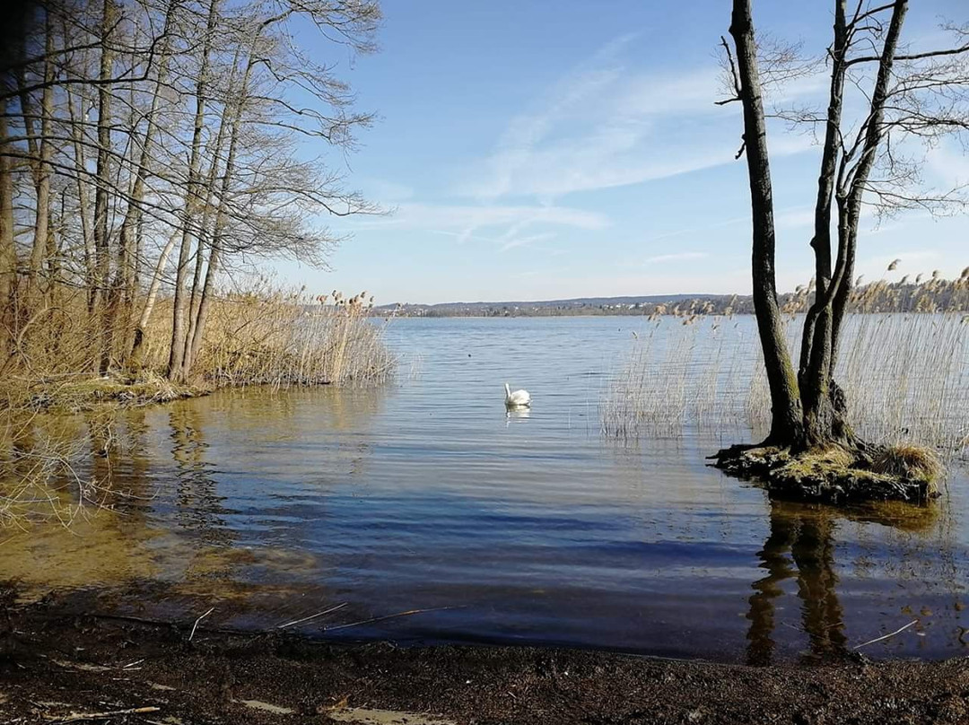 Dampfschiff Greif-Greifensee必去景点