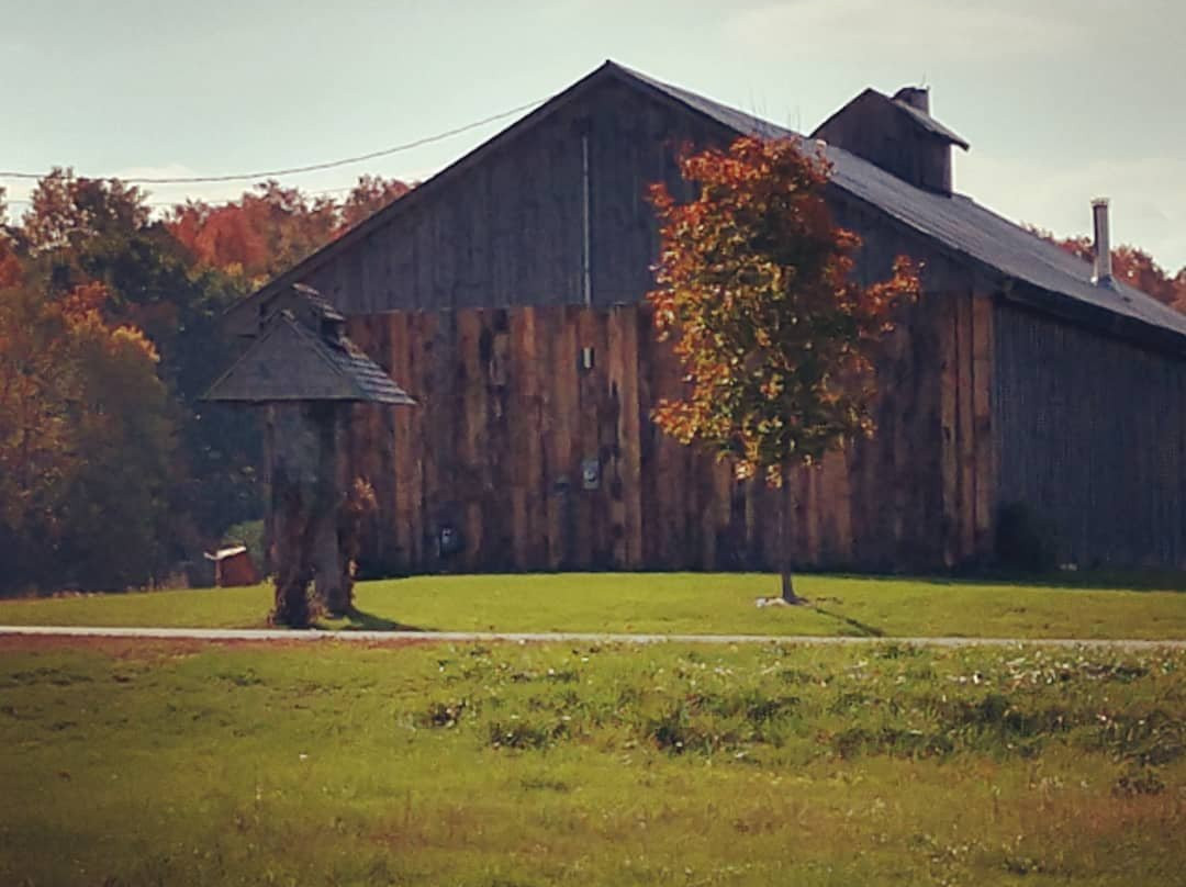 Palmer's Sugarhouse-谢尔本必去景点