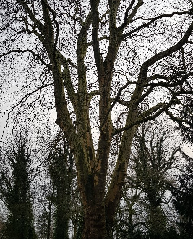 Burg Stickhausen-Detern必去景点