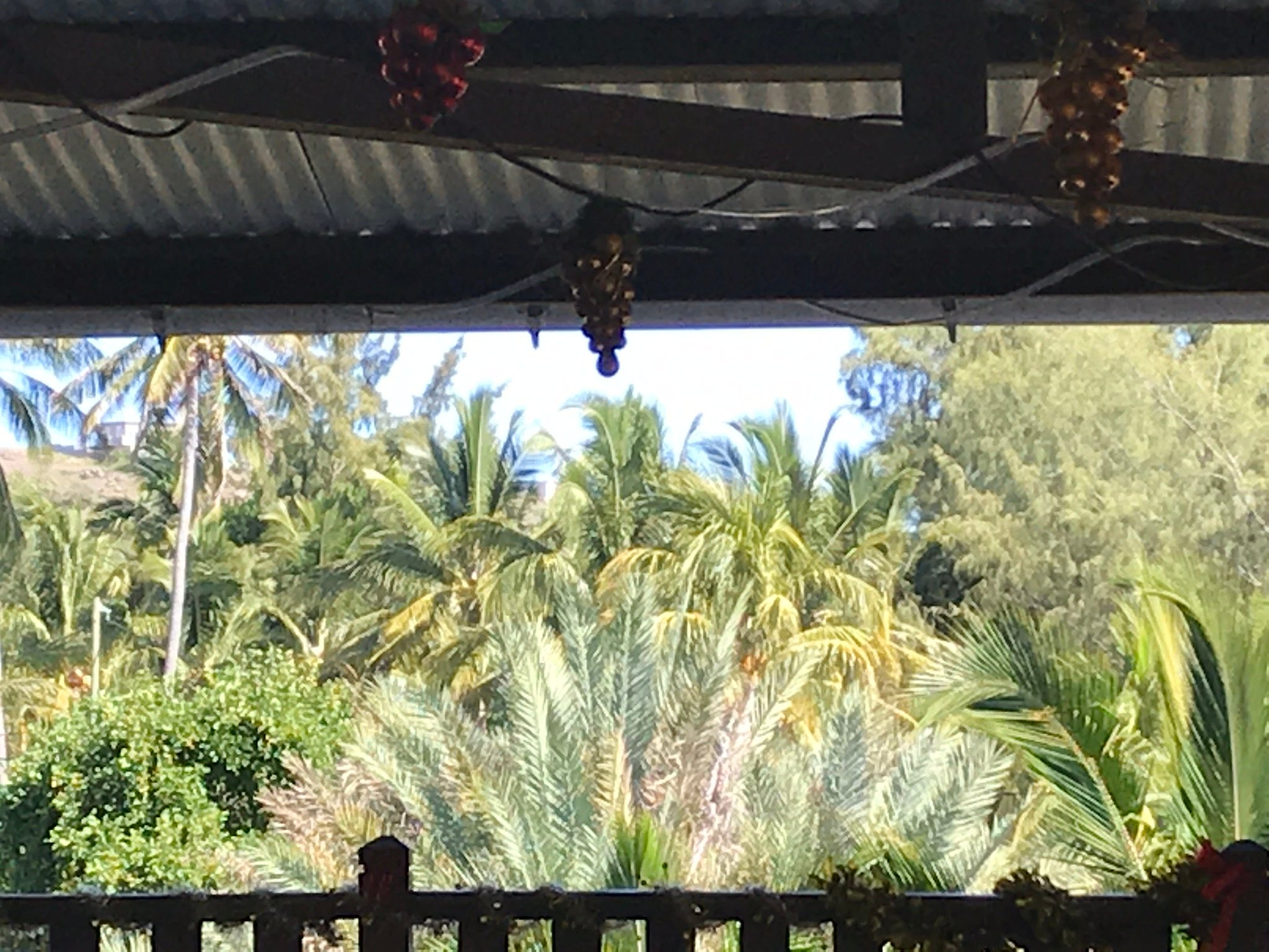 Auberge St Francois-餐饮