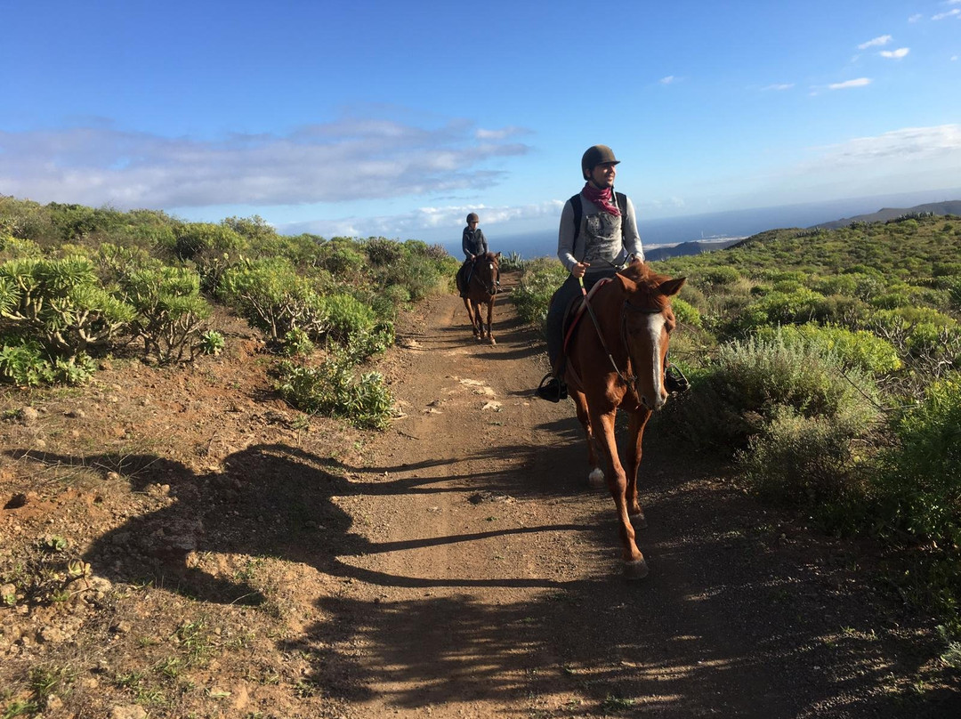 Horse Riding Canaria景点图片