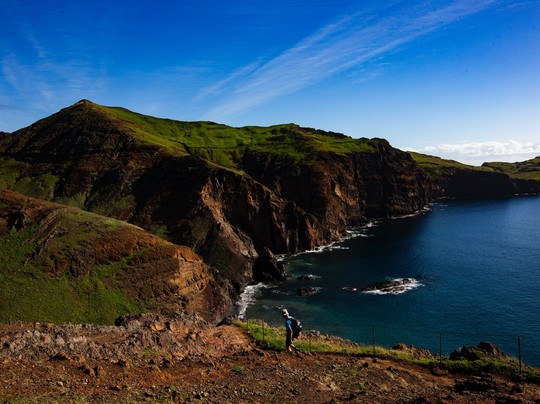 Madeira Orchid Travel