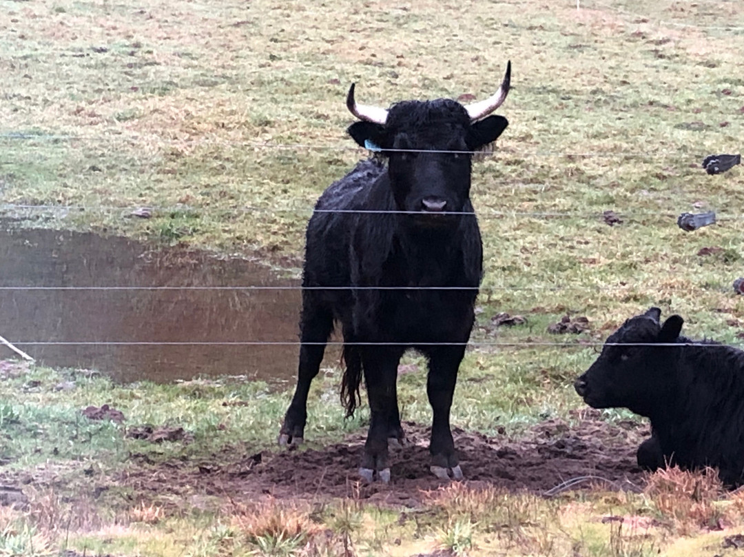 The Inn At Crippen Creek Farm主图