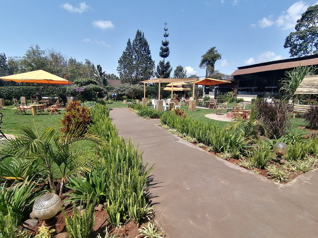 The Backyard Coffee Lounge