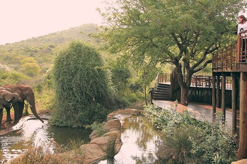 Tugela Tours景点图片