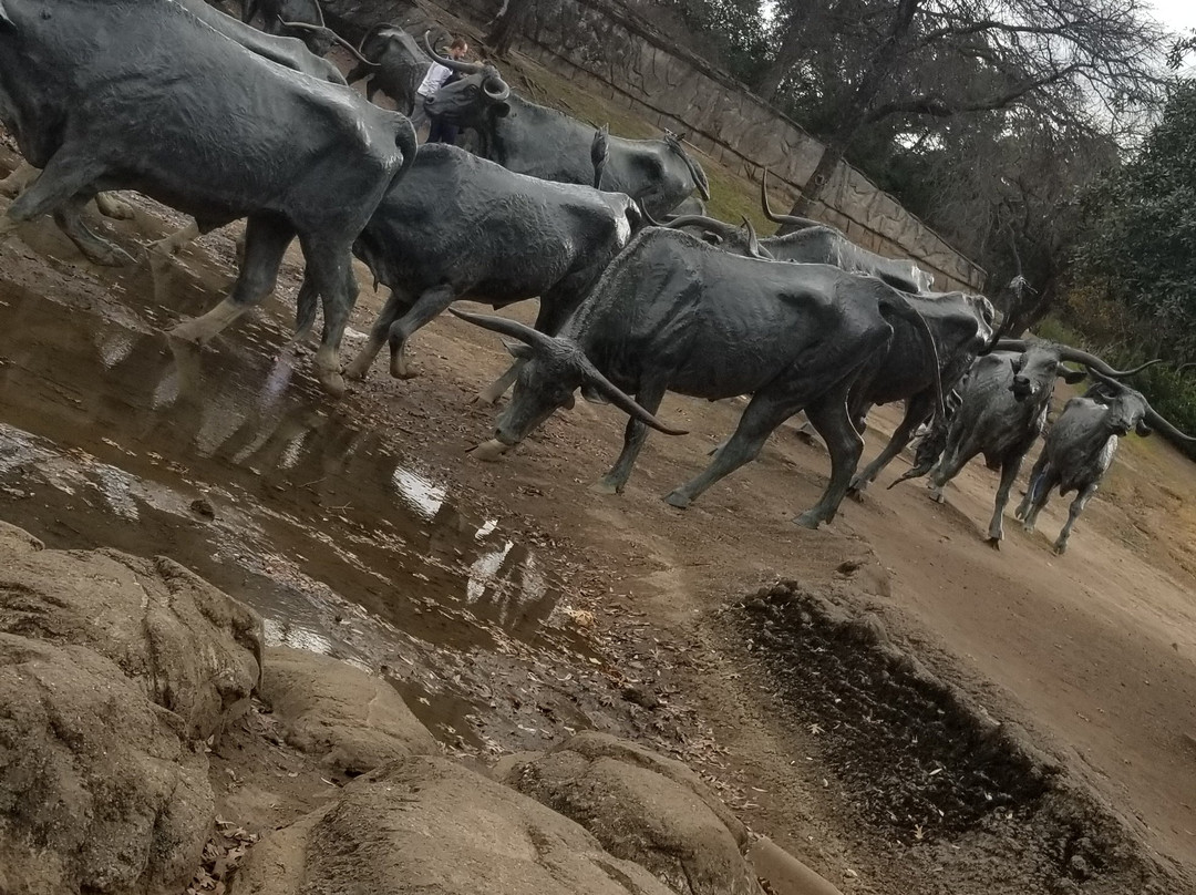 Big D Fun Tours-达拉斯必去景点