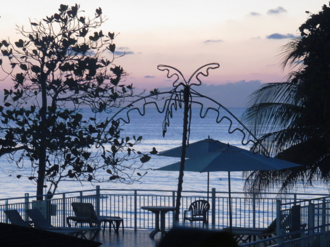 可可棕榈酒店主图