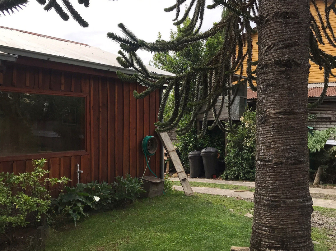 Epu Pewen-Curacautin必去景点