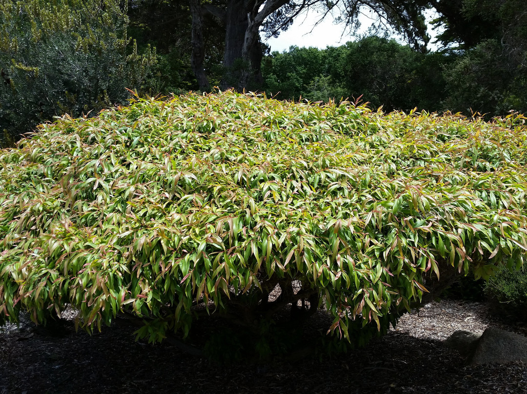 Sorrento Park景点图片