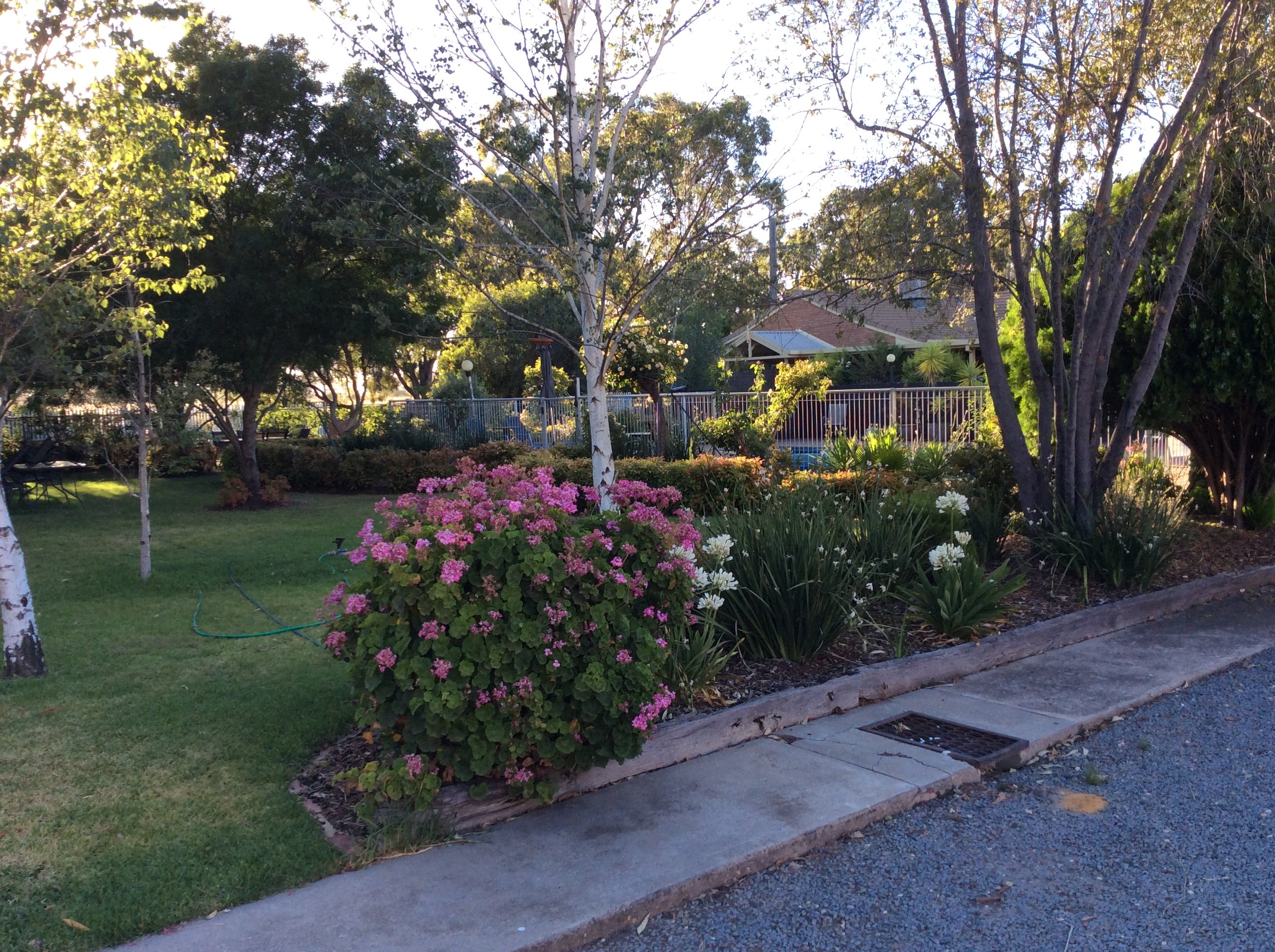 Nagambie Motor Inn & Conference Centre-浴室