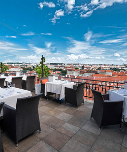 Terasa U Zlate studne餐厅图片