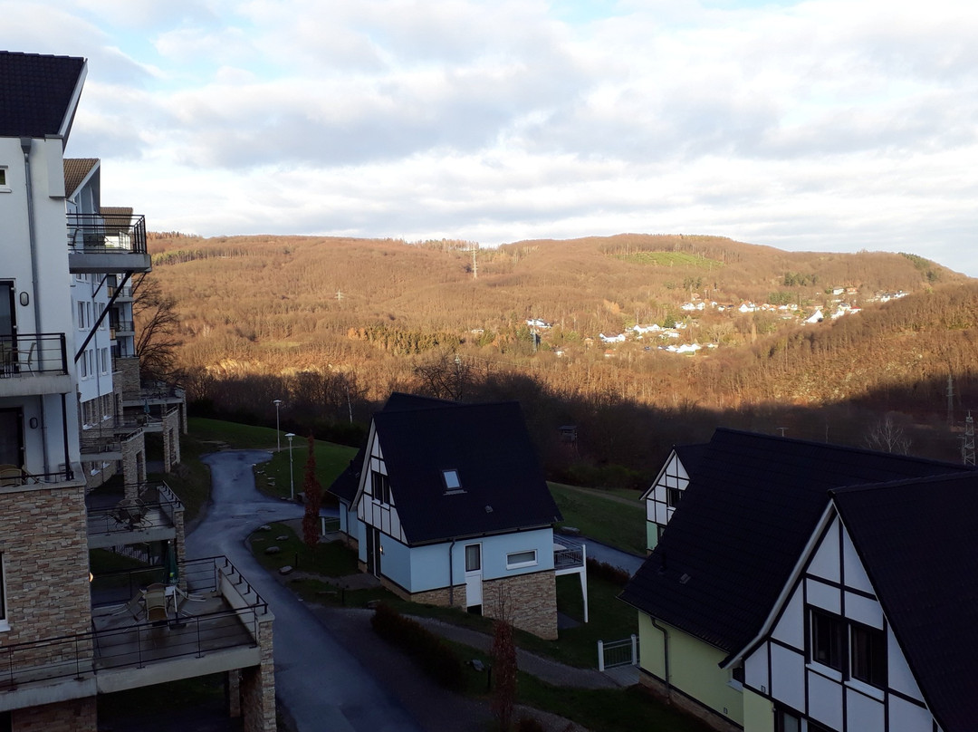 Dormio Resort Eifeler Tor主图